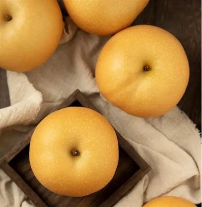 Milžiniška Azijos kriaušė