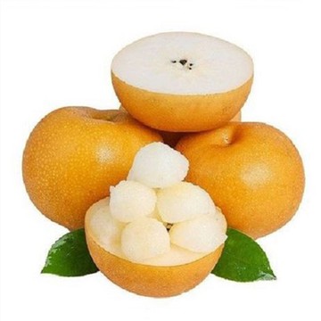 Azijos kriaušė Qiuyue